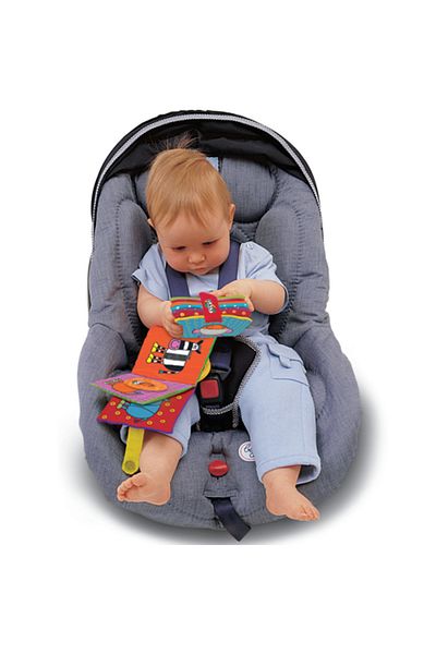 Galt Soft Book: Carticica Moale Pets