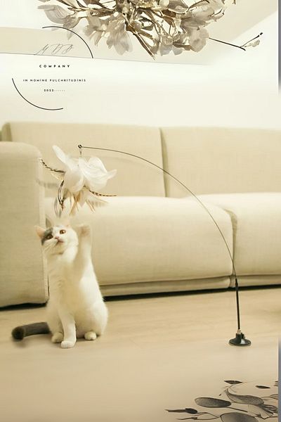 FORSEİ LUCA Feather Cat Playstick with Suction Cup, Rattle Cat Toy, Cat Exercise Apparatus
