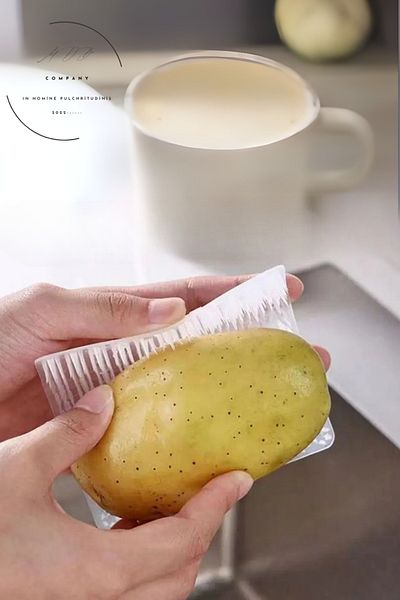 FORSEİ LUCA 1Pc Multifunctional Fruit and Vegetable Cleaning Brush Vegetable Washing Brush Dish Brush