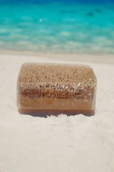 ERGÖK Natural Pumpkin Fiber Donkey Milk & Honey Soap