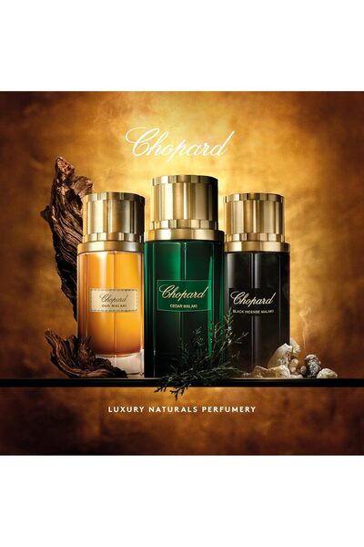 Chopard عطر سيدار ملكي أو دو بارفان - 80 مل (للجنسين)