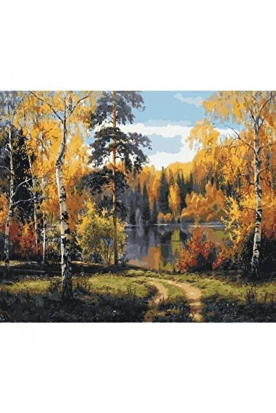 Pastelya Sayılarla Boyama Seti Çerçeveli Kasnaklı Göl Manzarası 2 60 X 75 Cm