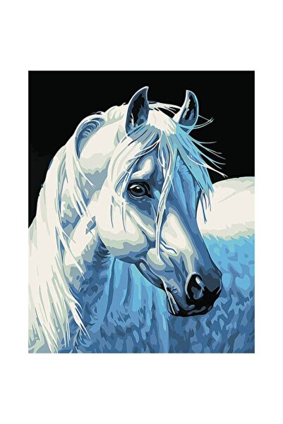 trend hobby Yıldız At Sayılarla Boyama Hobi Seti 40x50 cm-Tuval Şasesine Gerili