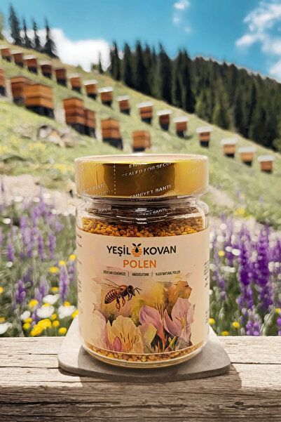 Yeşil Kovan Arı Poleni 200 g (YENİ SEZON) - Cam Kavanoz