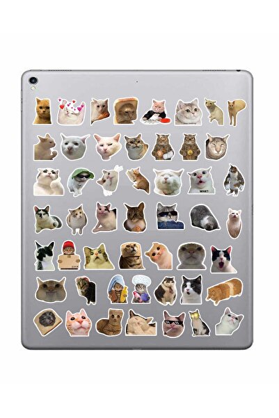 hediyenebak Set naljepnica Crazy Cats | Laptop Planer Notebook Tablet Telefon...