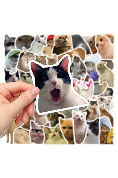 hediyenebak Çılgın Cats Sticker Seti | Laptop Ajanda Notebook Tablet Telefon ...