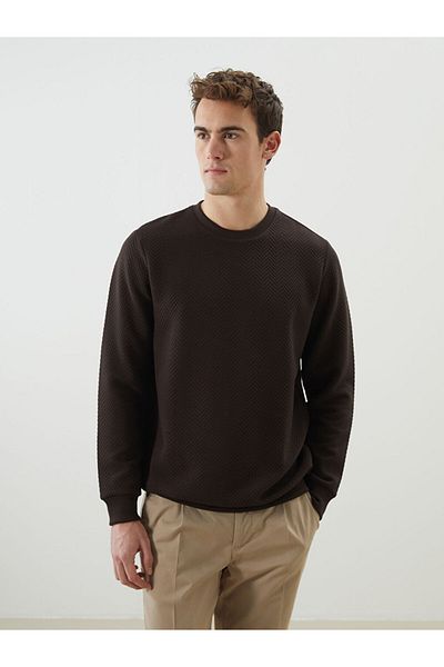 LC Waikiki Lcw Crew Neck Long Sleeve Men's Sweatshirt Fast Fashion