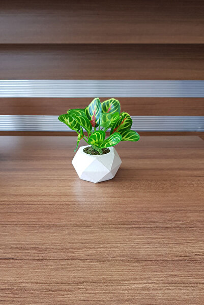 adresiburasi زهرة طاولة نبات صناعي في وعاء زهور خرسانية