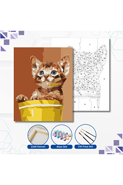tuvval Sayılarla Boyama Set SAKSIDA KEDİ 30x40 Cm