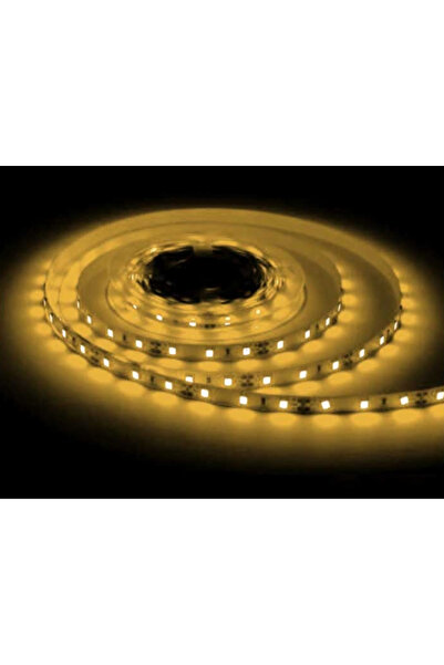 ACK Üç Çıp 3000k 60led 12v Ip20 Serıt Led