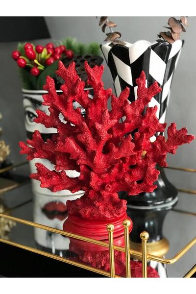 Mirsa Global Dekotatif Şık Mercan