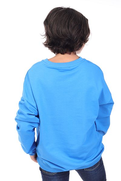 Toontoy Boy's Sweatshirt - Printed