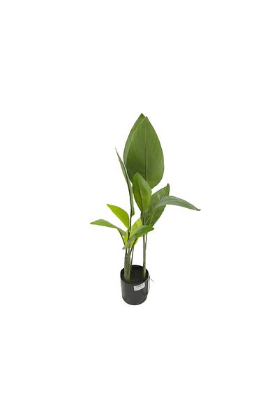 Living Green Artificial Tree /105 cm