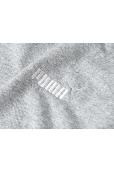 Puma Kapuce Puma Men Ess Malé Logo Hoody, šedá, muži