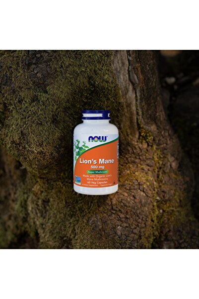 Now Foods, Lion's Mane (Aslan yelesi mantarı) 500 mg, 60 Veggie Capsules