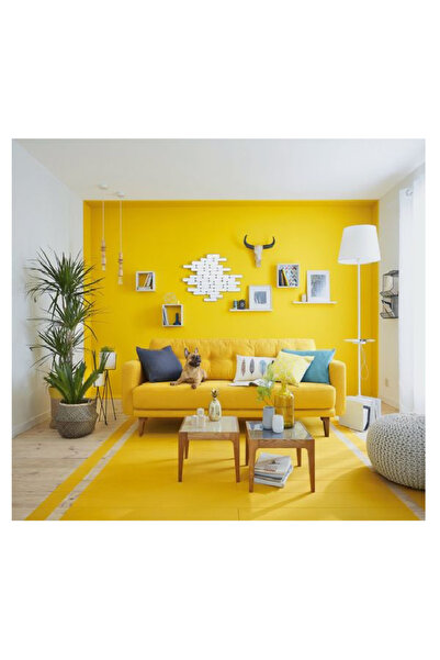 Marshall Pastel Yarı Mat Saten Sentetik Ahşap-Metal-Duvar Boyası 3.75 lt 5 kg Ayışığı