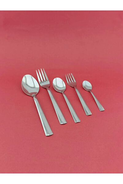 ENASHOP Arden 60 Piece Plain & Steel 12 Person Fork & Spoon Set