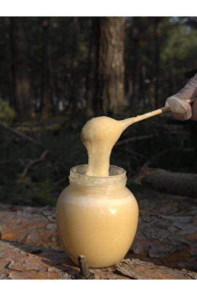 Balkovan Doğal Organik Beyaz Bal 450gr.