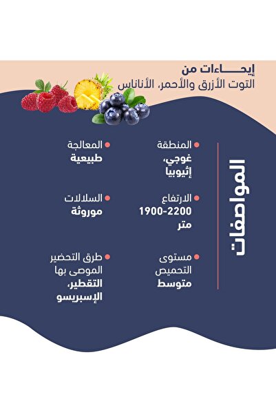 CODA حبوب قهوة هامبيلا إثيوبيا 250 جرام مع نوتات التوت الأزرق والتوت الأحمر للقهوة المقطرة وقهوة الإسبريسو