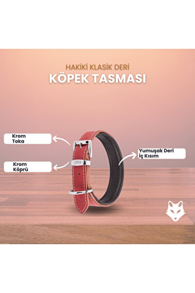 Canini Collar Hakiki Yağlı Deri Köpek Tasma, Yumuşak Deriden İç Kısım, Ultra Dayanıklı ve Konforlu Deri Tasma
