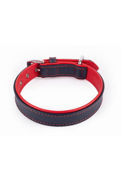 Canini Collar Hakiki Deri Köpek Tasması, Çift Katlı Deri, Ultra Dayanıklı Deri Tasma ve Ekstra Konforlu Deri Tasma