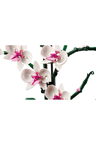 LEGO Set LEGO Creator Expert - Orhidee (10311)