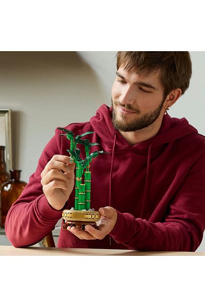 LEGO Set LEGO Creator Expert - Bambus norocos (10344)