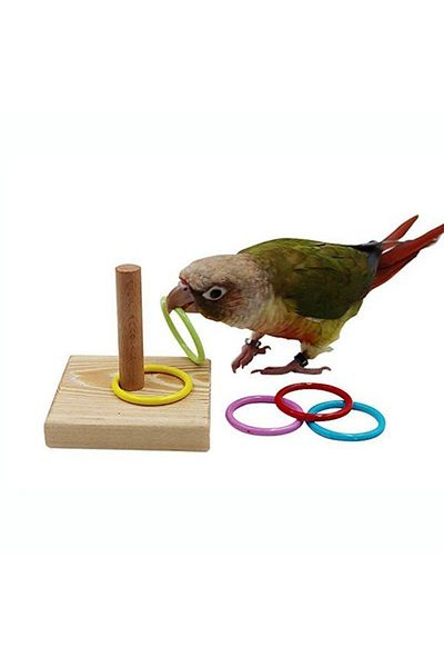 Choice Bird Training Ring Toy Parrot Educational Toys Training Interactive Bird Supplies Bird Toys Rando...