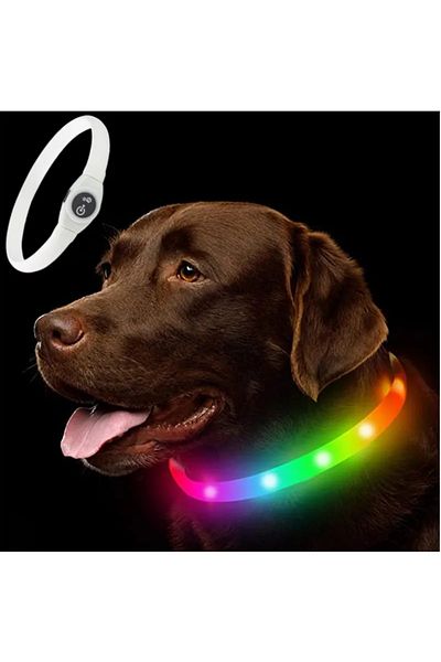 Choice 65cm Colorful Collar New Led Luminous Dog Collar Pvc Waterproof , For Large Medium Small Dogs Collar