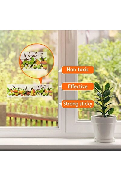 Choice1 Printing style 20pcs Window Fly Catchers Can Be Used Indoors for Flie...