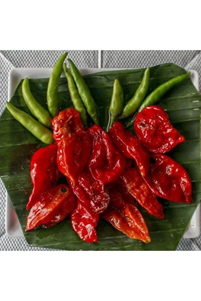 Doğal Dünyanın En Acı Biber Tohumu(Bhut Jolokia) 4 Tohum