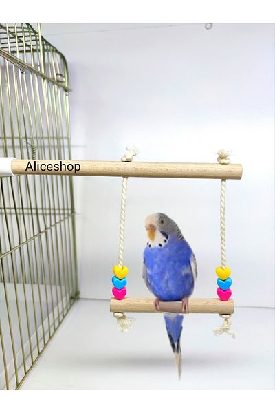 Alice Swing with Perch for Budgie and Birds of Various Sizes
