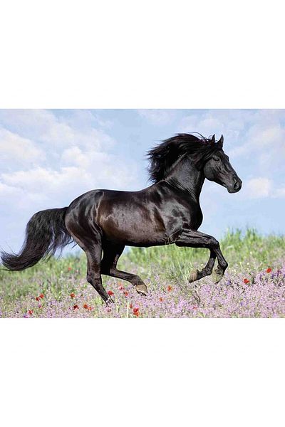 RAVENSBURGER Horse Puzzle, 200 Pieces