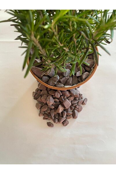 Erdönmez Peyzaj - Dolomit Bordo Renkli Taş ( 1-2 cm. Boy / 10 kg ) Bahçe Deko...