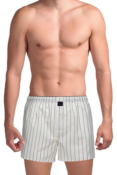 TheDon Το DON Poplin Ανδρικό Boxer σε ριγέ υπόλευκο