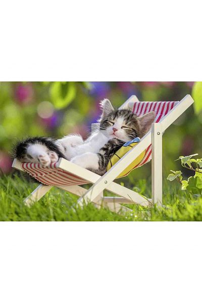 RAVENSBURGER Sleepy Kittens Puzzle, 2X24 Pieces