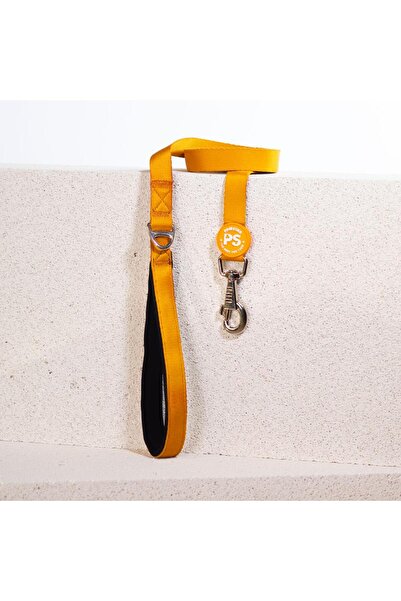 Pawstar Gold Leash Kedi Köpek Sevk & Gezdirme Kayışı Köpek Uzatma Tasması-2Cm