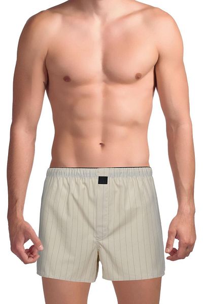 TheDon Το DON Poplin Ανδρικό Boxer Dark Cream ριγέ