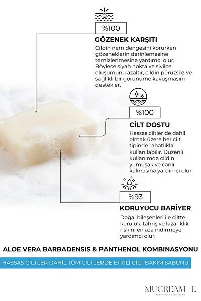 BABYDERM Skin Care Soap 100Gr Aloe Vera, Anti-Pore and Anti-B5 Content