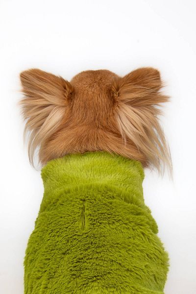 salya store Dog Outfit -Rabbit Dog Jacket with Zipper