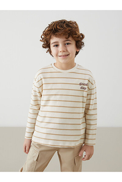 LC Waikiki Özmarka New Season Textured Fabric Striped Boys' T-Shirt