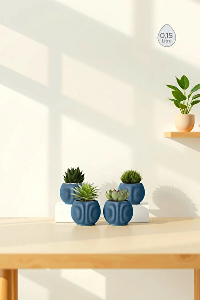 Melkan Home 4 Adet 0,15 Litre Mini Saksı Kaktüs Sukulent Saksısı Minik Plasti...