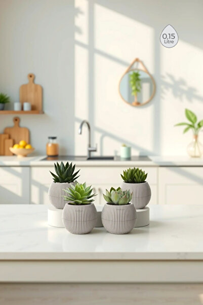 Melkan Home 4 Adet 0,15 Litre Mini Saksı Kaktüs Sukulent Saksısı Minik Plasti...