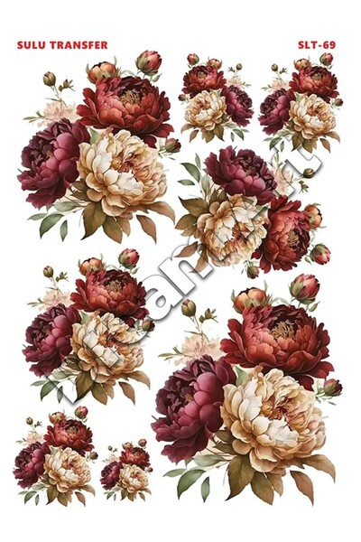 Buhobi كروكوس نقل مائي خفيف SLT069 25x35 سم