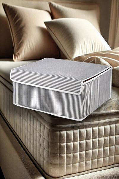 Nanteks 1 Adet Kapaklı Çok Amaçlı Baza Altı Kutu Hurç 50x40x19cm