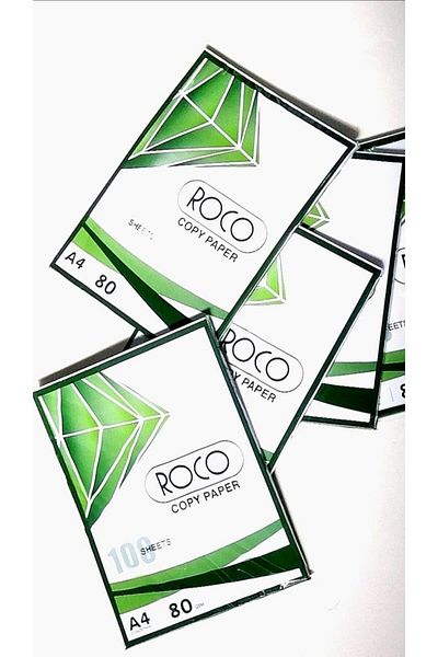 erorex A4 Copy Paper 100 Sheets 80G