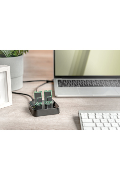 Digitus Çevrimdışı klonlama işlevine sahip çift M.2 NVMe SSD yerleştirme ista...