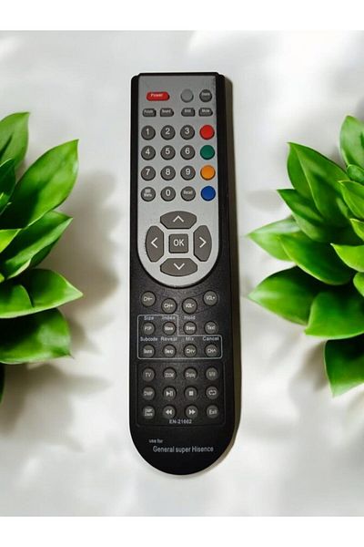 erorex جهاز تحكم عن بعد بديل متوافق مع تلفزيون Ismart LCD LED