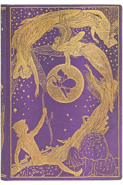 erorex Lang'S Fairy Books Violet Fairy Mini Plain Notebook