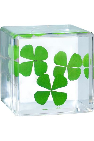 erorex Good Luck Charms Real 4 Leaf Clover 4Cm Cube Paperweight St. Saint Patrick'S Day Decor Irish